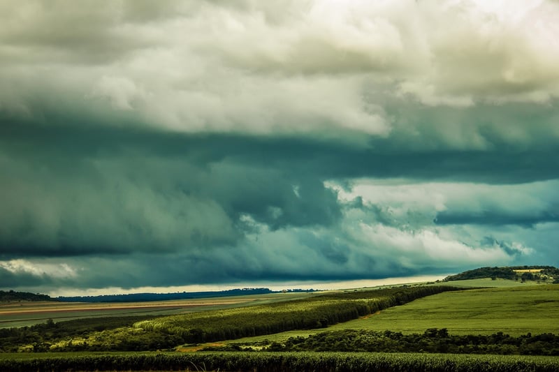 Temporal Manipulation